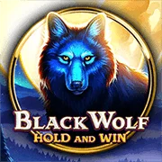 Black Wolf slot game by BNG Slot - Play at Taya365 Online Casino Philippines
