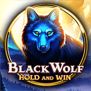 Black Wolf — Slots — Taya365