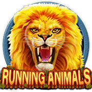 Running Animals — Slots — Taya365