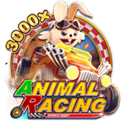 ANIMAL RACING — Slots — Taya365