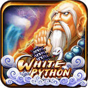 White Python — Slots — Taya365