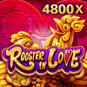 Rooster In Love — Slots — Taya365