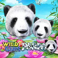 Wild Giant Panda — Slots — Taya365