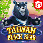 Taiwan Black Bear — Slots — Taya365