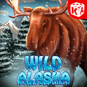 Wild Alaska — Slots — Taya365