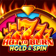 Hot to Burn Hold and Spin — Slots — Taya365