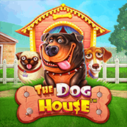 The Dog House — Slots — Taya365