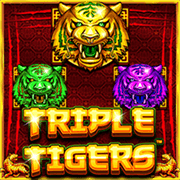 Triple Tigers — Slots — Taya365