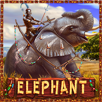 Elephant — Slots — Taya365