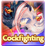 CockFighting — Card Games — Taya365