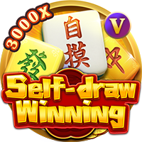 Self-draw winning 2 — Slots — Taya365